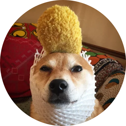 🤨 Стикер «Favourite» для Telegram