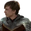 Стикер 5 🛡️🗡️🐺🦁🏰🐺🍷🧝‍♀️🛋️🦁
