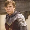 Стикер 26 🛡️🗡️🐺🦁🏰🐺🍷🧝‍♀️🛋️🦁