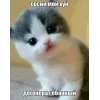 Стикер 35 🤩 кисы - картинки с котиками