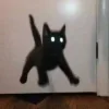 Стикер 30 🤩 кисы - картинки с котиками