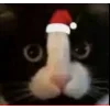 Стикер 29 🤩 кисы - картинки с котиками