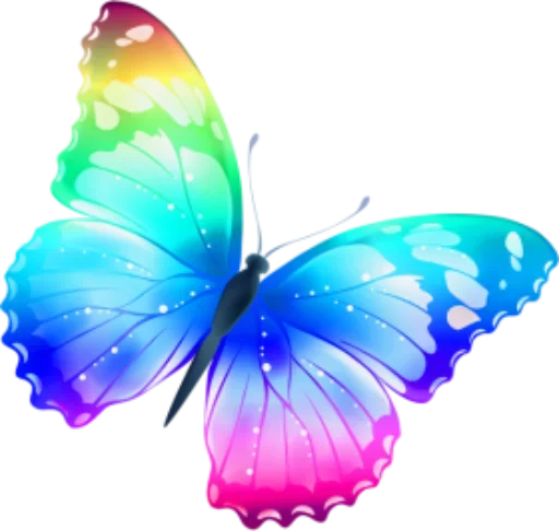 🎀 Стикер «butterflyes» для Telegram