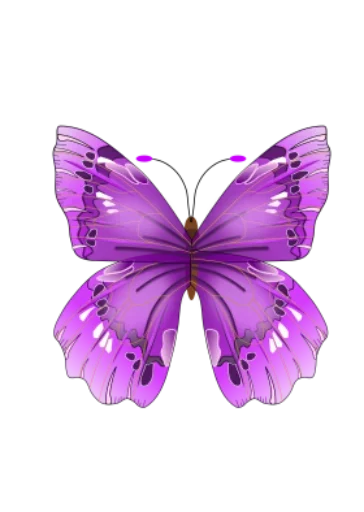 🎀 Стикер «butterflyes» для Telegram