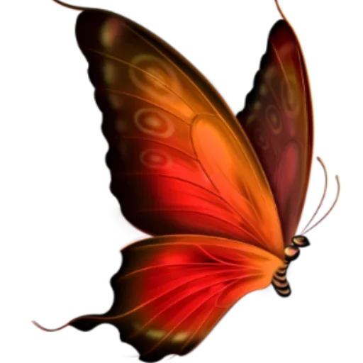 🎀 Стикер «butterflyes» для Telegram