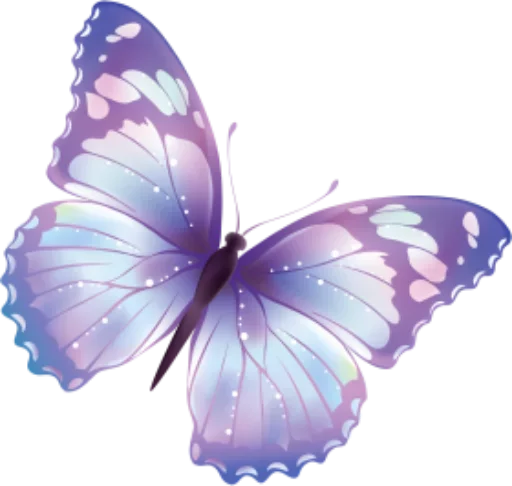 🎀 Стикер «butterflyes» для Telegram