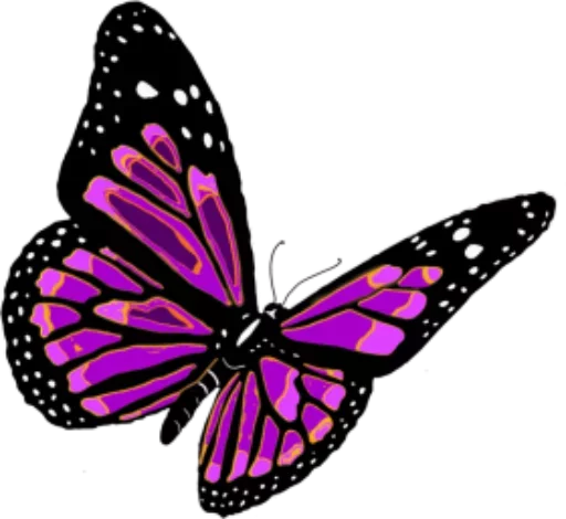 🎀 Стикер «butterflyes» для Telegram