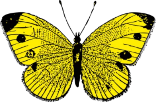 🎀 Стикер «butterflyes» для Telegram