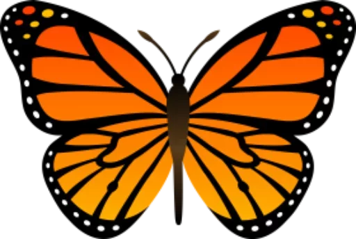 🎀 Стикер «butterflyes» для Telegram