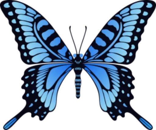 🎀 Стикер «butterflyes» для Telegram
