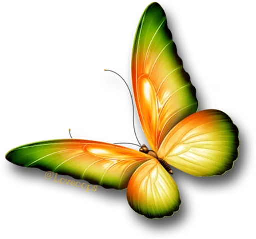 🎀 Стикер «butterflyes» для Telegram