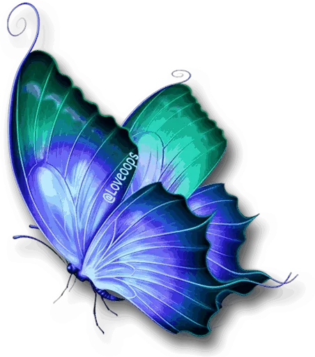 🎀 Стикер «butterflyes» для Telegram