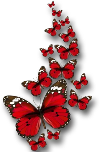 🎀 Стикер «butterflyes» для Telegram
