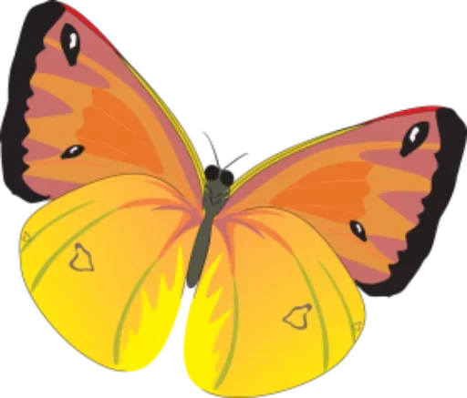🎀 Стикер «butterflyes» для Telegram