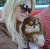 🐕 Эмодзи «lovepuppys» для Telegram