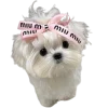 🐕 Эмодзи «lovepuppys» для Telegram
