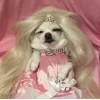 🐕 Эмодзи «lovepuppys» для Telegram