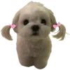 🐕 Эмодзи «lovepuppys» для Telegram