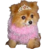 🐕 Эмодзи «lovepuppys» для Telegram