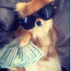 🐕 Эмодзи «lovepuppys» для Telegram