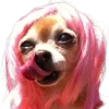 🐕 Эмодзи «lovepuppys» для Telegram