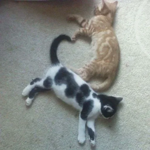 💖 Стикер «loves» для Telegram