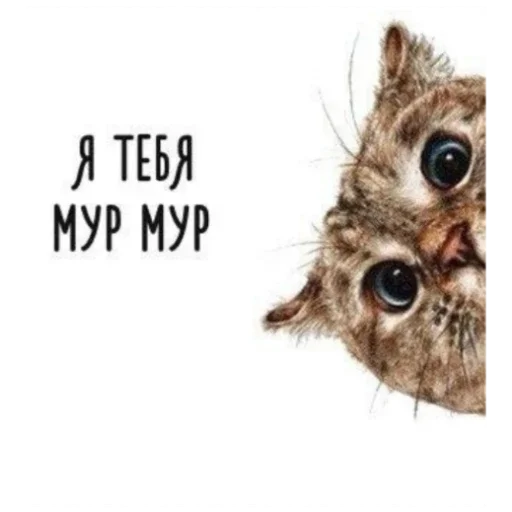 🧡 Стикер «LoveValya» для Telegram