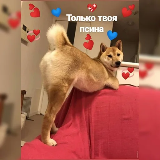 🤭 Стикер «lovv 3rss» для Telegram