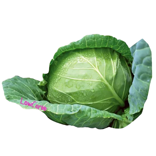 🥬 Стикер «LowCarbb» для Telegram