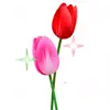 Стикер 57 flowers #flowers #цветы