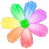 Стикер 5 flowers #flowers #цветы