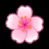 Стикер 40 flowers #flowers #цветы