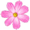 Стикер 3 flowers #flowers #цветы
