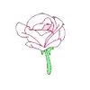 Стикер 54 flowers #flowers #цветы