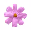Стикер 19 flowers #flowers #цветы
