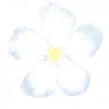 Стикер 4 flowers #flowers #цветы