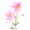 Стикер 60 flowers #flowers #цветы