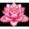 Стикер 46 flowers #flowers #цветы