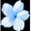 Стикер 48 flowers #flowers #цветы