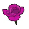 Стикер 55 flowers #flowers #цветы
