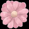 Стикер 45 flowers #flowers #цветы