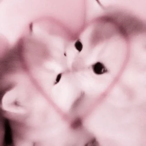 💓 Стикер «LSKOL» для Telegram