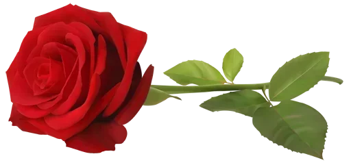 😩 Стикер «Bouquet» для Telegram