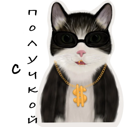 😎 Стикер «Мурзюня‍» для Telegram