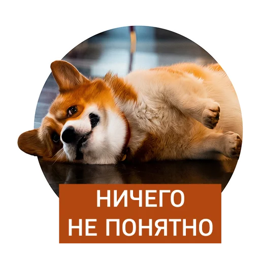 🙂 Стикер «Lucky FSK» для Telegram