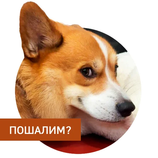 😉 Стикер «Lucky FSK» для Telegram