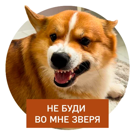 😈 Стикер «Lucky FSK» для Telegram
