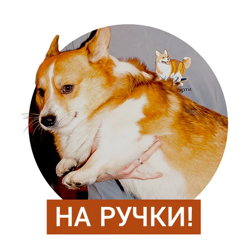 🥹 Стикер «Lucky FSK» для Telegram