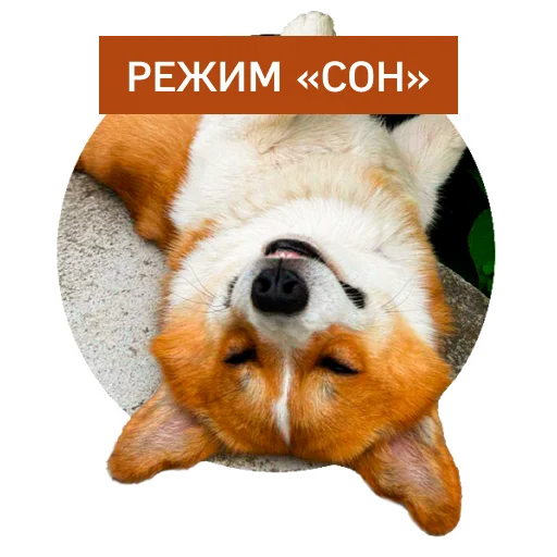 Стикерпак Lucky FSK для Telegram