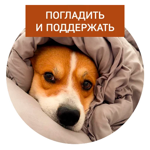🥹 Стикер «Lucky FSK» для Telegram